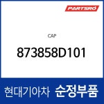 캡 (873858D100) 유니버스 스페이스, 유니버스 익스프레스 : 주식회사 현대파츠로