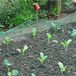 블루베리방조망 수박그물망 참새그물망 텃밭 농작물보호망 4X5m : 드림on마켓