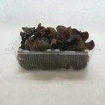 국내산 목이버섯 생물 400g 800g 건물 30g 60g 150g 산지직송 : 스마트연쇄점