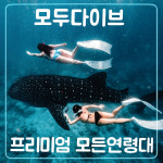 프리다이빙 강습 모두다이브 전국 서울 부산 입문 초급 PADI AIDA : 고고다이브 스쿠버프리다이빙