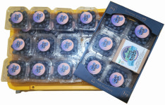 (농원에서 판매)청정지리산 친환경무농약 블루베리 20mm 이상(왕특) 100g - 3,500원 : 지리산초이농원