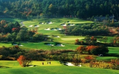 웰리힐리cc 강원도 시원한 회원제 골프 패키지 : 자이언트골프 국내해외예약