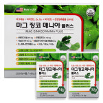 마그 징코 매니아 플러스 120캡슐 4개월분 손발 쥐 근육경련 혈행 기억력 개선 : 주식회사 에스지메디팜
