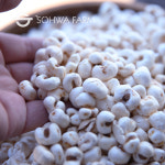 소화농장 백미 현미 율무 늘보리 강냉이 찰수수 뻥튀기 500g : 소화농장두유