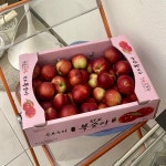 신비복숭아 신선복숭아 고당도 딱딱이 백도 3kg 5kg 산지직송 6월 제철과일 선물용 : 안녕 복숭아