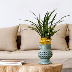 동양란 취임난 동양난 승진난 영전 꽃배달 공기정화식물 화분 : 꽃집청년들