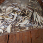 말린 표고버섯 참나무 원목 건표고버섯 1kg - 은산 탁구네농장 : 오번리 탁구네농장