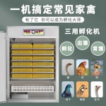자동 병아리 부화기 스마트 대형 인큐베이터 조류 : 구대스코몰