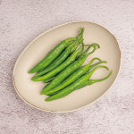 당일수확 유기농 고추 청양 당조 아삭이 롱그린 1kg 3kg 5kg : 코리아빠