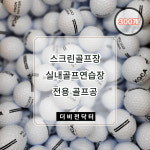 스크린골프 전용볼 300개 1box 2피스 골프공 골프연습장 골프존 GDR 카카오 : 더비전닥터