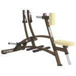 싸이벡스 중고 기구 수입 어드밴스드 Advanced cybex 헬스장 PT샵 피티샵 창업 : Zesty Life