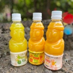 제주향 한라봉주스 천혜향주스 청귤 제주감귤주스 100%착즙 8병 : 제주차니상회