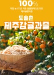도솔촌 제주감귤과즐 300g 4봉지 가정용 : 도솔촌  제주감귤과즐