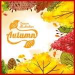 사계절 자연 가을 단풍 풍경 숲 바다 강 나무 룸 방 펜션 휴양 휴식 파르텔 벽지 시트지 롤스크린 : 으뜸데코