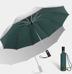 거꾸로 예쁜 양우산 : 숲냥이