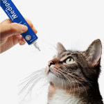 피터스랩 메디퍼트 프로 6중 효소 프로폴리스 강아지 고양이 치약 : 피터스 랩