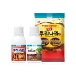 [가든팜] 대유 뿌리나라골드 100ml : 가든팜