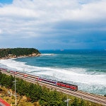 야자수 바다 해변 자연 파도 구름 하늘 기차 룸 방 테마 카페 모텔 펜션 사우나 파르텔 벽지 시트지 롤스크린 : 으뜸데코