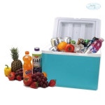 보냉도시락가방 보온보냉가방 미니 대형 파우치 태즈컴퍼니 노스베어 아이스박스35리터 캠핑용품 : 제이씨에이치티