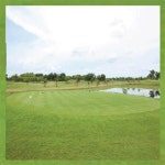 스크린 골프 golf 골프장 필드 드라이브 퍼팅 초원 카페 커피 파르텔 벽지 시트지 부킹 룸 롤스크린 : 으뜸데코