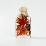 하바리움 프리저브드플라워 여자친구선물 : 온더시즌 스토어