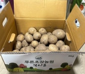 포슬포슬 맛있는 햇감자  두백감자 산지직송5kg 소포장 : 푸른초장농원