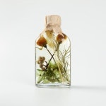 하바리움 프리저브드플라워 여자친구선물 : 온더시즌 스토어