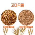 24년생산 호라산밀카무트 그레인온 파로 FARRO파로쌀 2kg 엠머밀 바나듐쌀 : 라온그랑