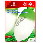 김장무씨앗 천수무종자 2000립 조선무씨 가을 : 씨앗의모든것