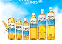 웅진 하늘보리 결명자 누룽지 자색옥수수 옥수수수염 헛개차 500mlx20펫 : 나눔우산