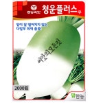 김장무씨앗 종자 청운플러스무씨앗 2000립 가을 무우씨 25년 : 씨앗의모든것