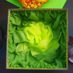 군산꽃배달 꽃바구니 꽃집  꽃집추천 미장동꽃 수송동꽃 조촌동꽃배달 선물상자 : 군산꽃집 프로포즈플라워