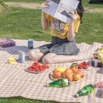 일회용돗자리 유럽여행 파리 피크닉매트 공원 여행 체크 : 쥬이벨마켓