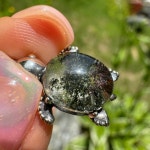 최강 귀요미 투명도 좋은 그린 레드 가든쿼츠 거북이 원석펜던트 정원석 925실버 부의수정 천연원석 : 원석파는 고양이