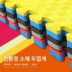 전문 고밀도 태권도 매트 1m 두께 훈련 도장 댄스 폼 매트 유도 무술 매트 : 래피트키