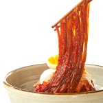 설악푸드 설악칡냉면 6인분세트 소포장 전문점용 : -설악푸드-