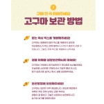 해남 세척 꿀고구마 중상 : SB슈퍼마켓