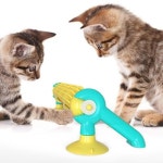 고양이 장난감 냥냥펀치 그루밍 트랙 캣닢볼 : 스테이잡화점