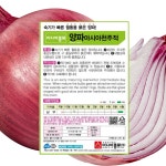 적양파씨앗 천주적양파 2.5g 1봉 빨간양파 월동용 적양파 아시아 : 태웅씨앗자재마트