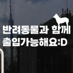 반려동물과 함께 출입가능해요 애완동물 매장 안내 인테리어 스티커 small : 코이핀즈