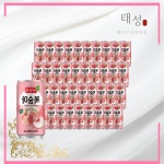 추천상품  다인 서편제 복숭아 주스 175ml 30캔 음료 음료수 도매 사무실  인기만점 : 누누상점상