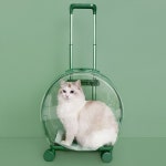 강아지 고양이 투명 이동장 캐리어 이동 가방 반려동물 애견 쿠션포함 : 공룡빅토리