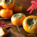 전남함평 / 10kg /감풍단감 / 원추단감 / 대봉시 / 나비골단감 / 천지단감 : 양림 해오름 농장