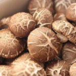 표고버섯 1kg (특,수입산) : 다봄 푸드