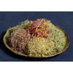 모듬새싹 500g (대,팩,국산) : 다봄 푸드
