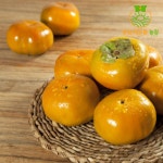 전남함평 / 10kg /감풍단감 / 원추단감 / 대봉시 / 나비골단감 / 천지단감 : 양림 해오름 농장