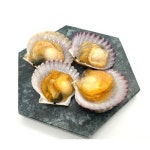 국내산 자숙 홍 가리비 2kg 캠핑용 : 다봄 푸드