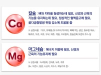 팜그린 칼슘 마그네슘 아연 비타민D 1450mg x 90정 3개월분 약국판매 미국 직수입 : 웰빙라이프앤푸드