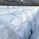 농사용비닐 농업용비닐 농사비닐 텃밭 2m x 10m : 에브리데이 굿데이