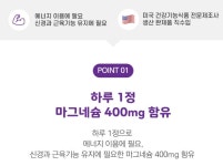 팜그린 마그네슘 400 950mg x 90정 3개월분 약국판매 미국 직수입 마그네슘영양제 : 웰빙라이프앤푸드